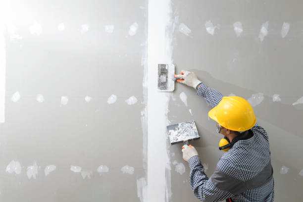 Best Drywall Removal and Disposal  in Embreeville, TN